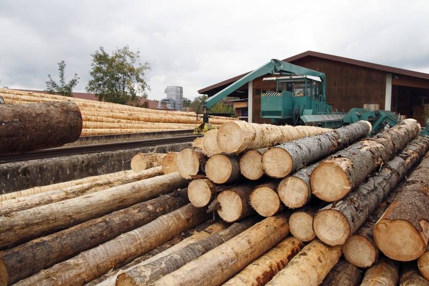 Publicado el Real Decreto 1088/2015 para asegurar la legalidad de la comercialización de madera y productos de la madera.