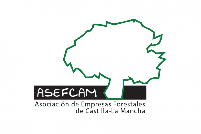 ASEFCAM celebra la continuidad de su trabajo en los meses de verano